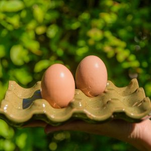 Support à oeufs